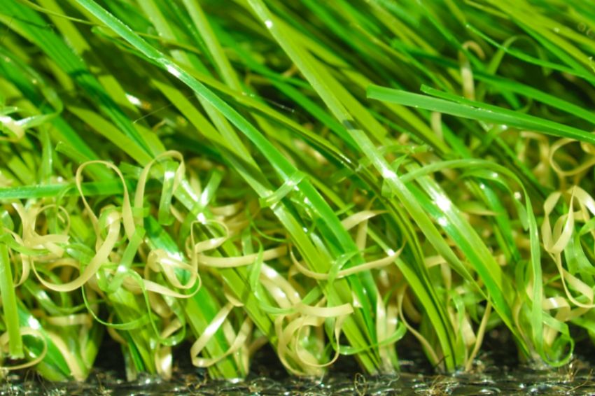 Cỏ Nhân Tạo